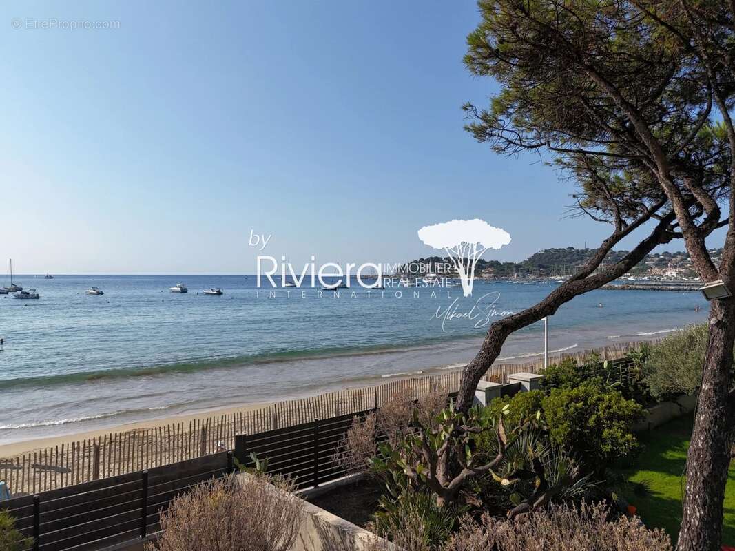 Propriete pieds dans l'eau  ! - photo 6