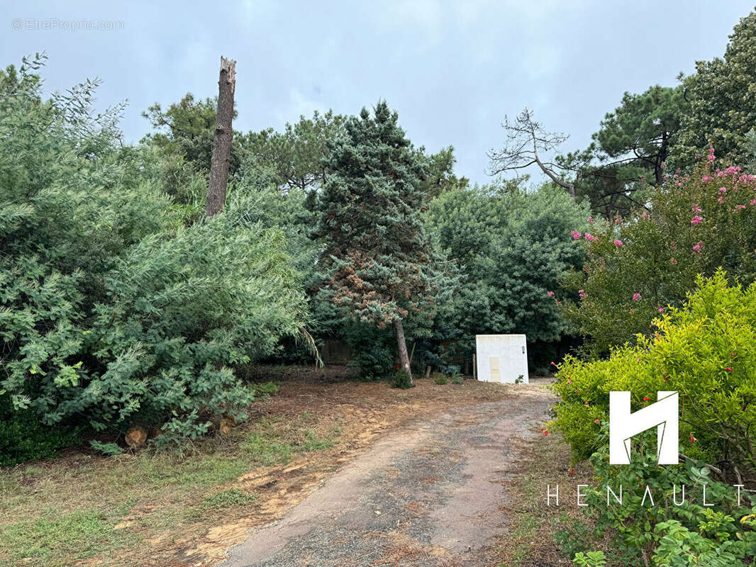 Terrain à RIVEDOUX-PLAGE