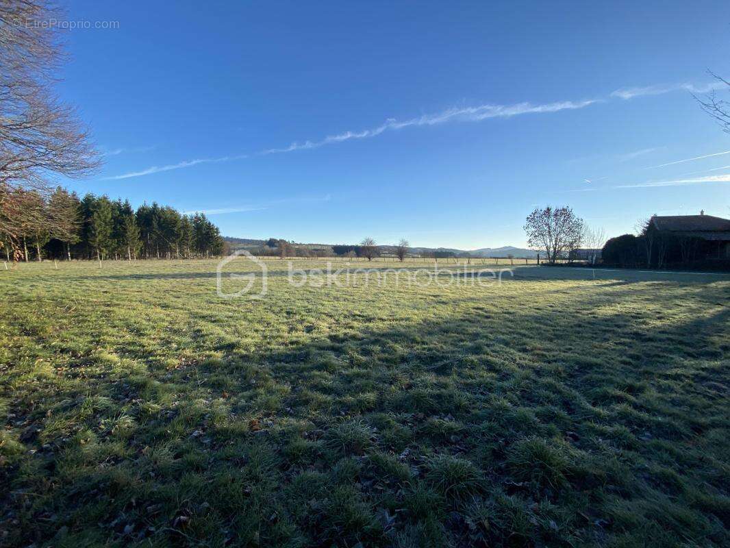 Terrain à SAINT-PAULIEN
