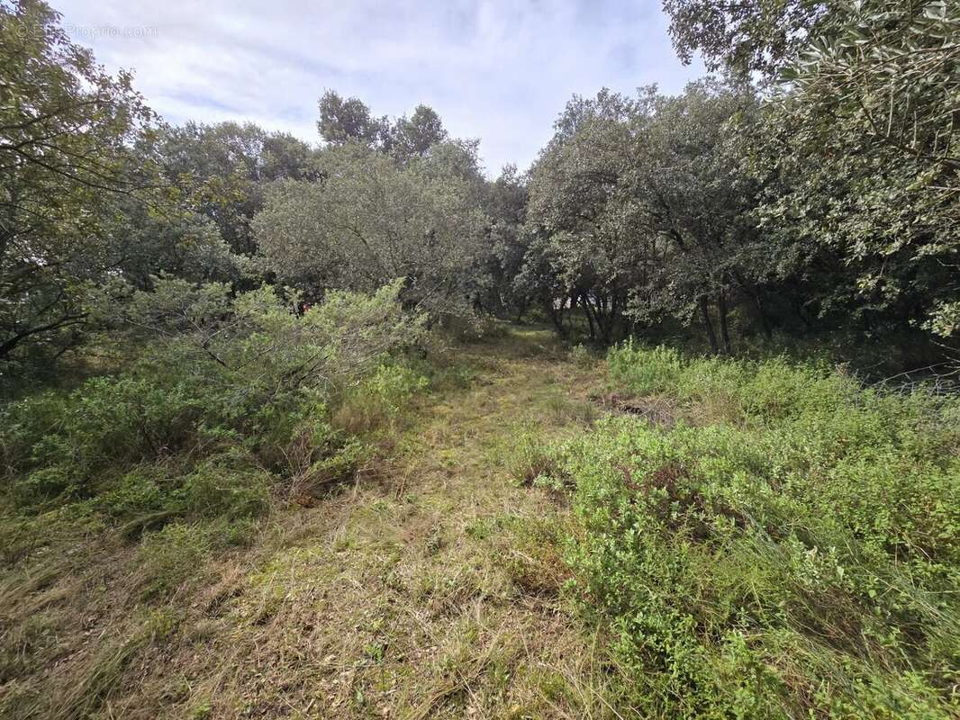 Photo Garrigue d\&#039;Uzès 3 - Terrain à UZES