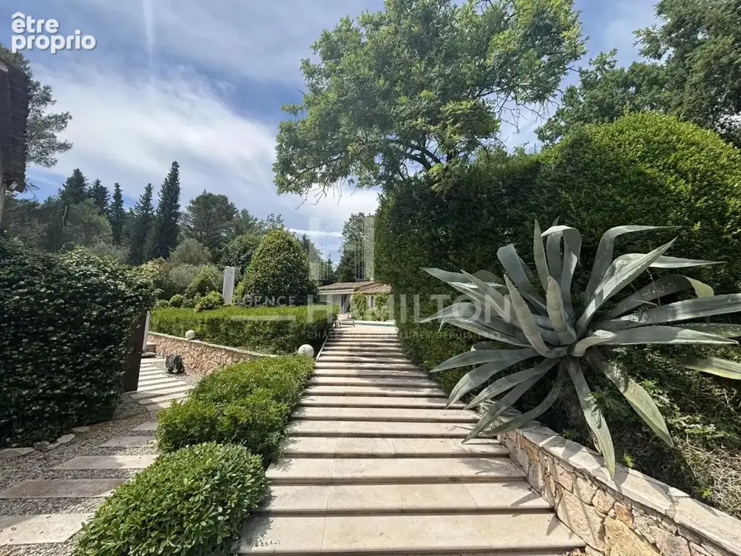 Villa provençale avec vaste terrain, piscine , 4 chambres et stu - photo 3