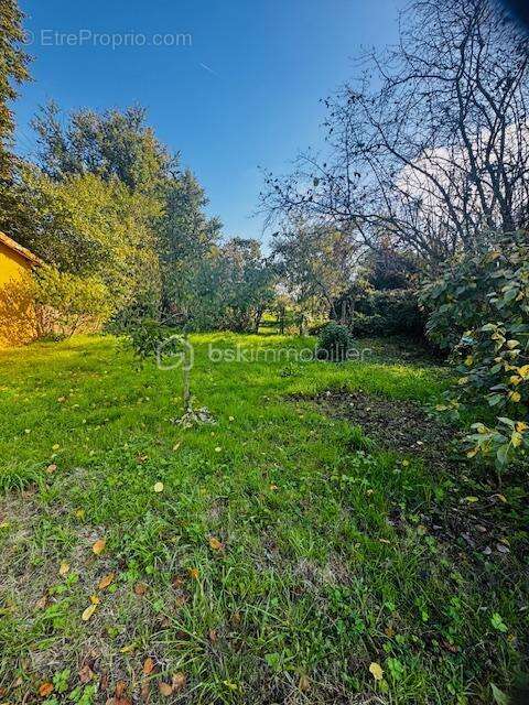 Maison atypique au calme 107M² – à 2 min de la Vallée des Singes  - photo 10
