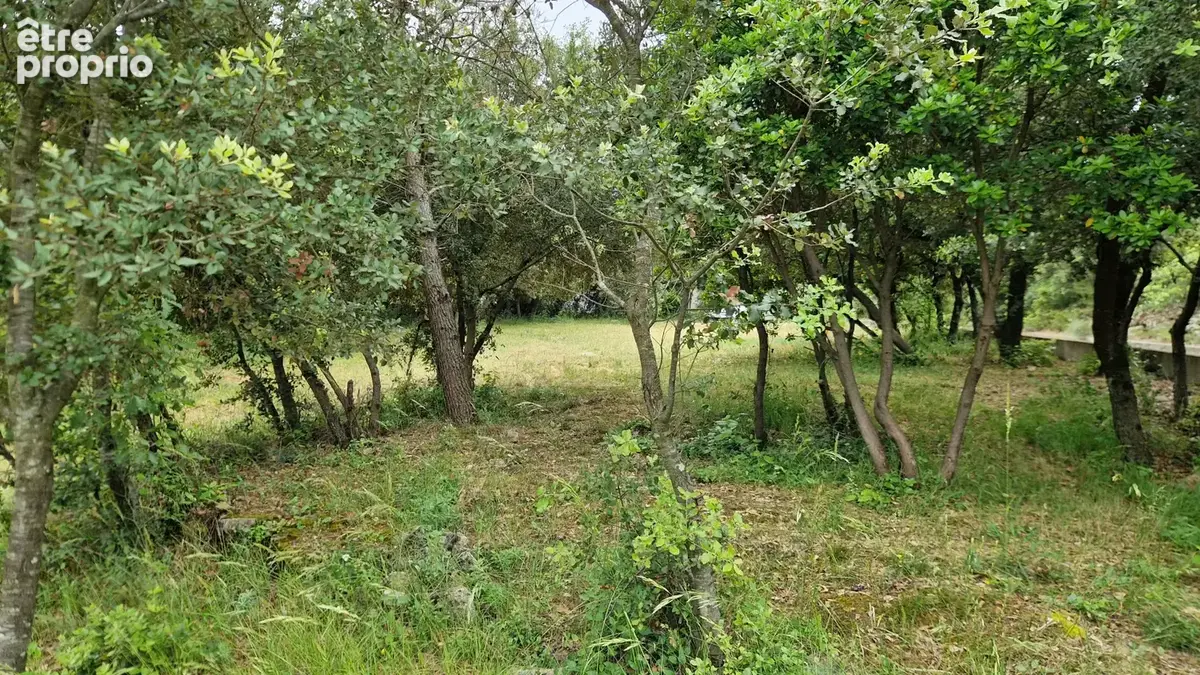 Terrain arboré et viabilisé - photo 5