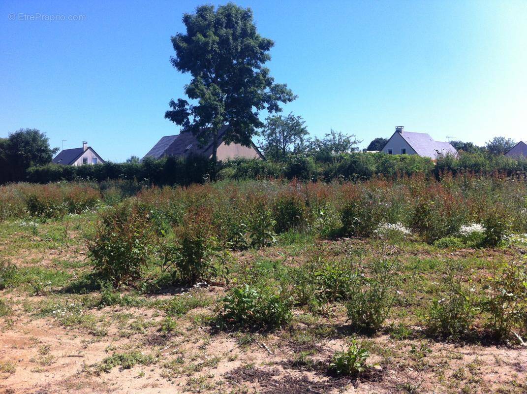 Terrain à SAINT-AIGNAN-DE-CRAMESNIL