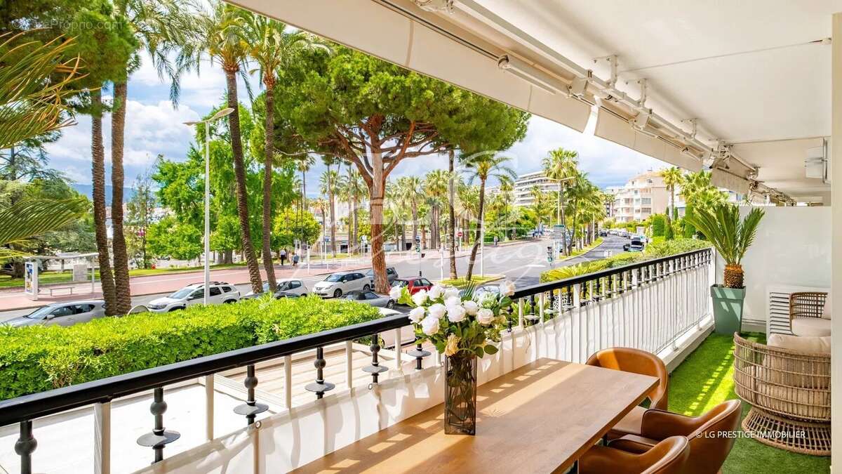 Cannes port canto - photo 2