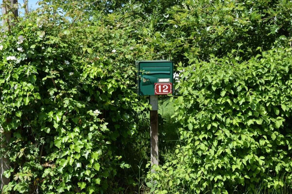 Fermette à vendre dans la Nièvre avec 3375 m² de terrain - photo 38