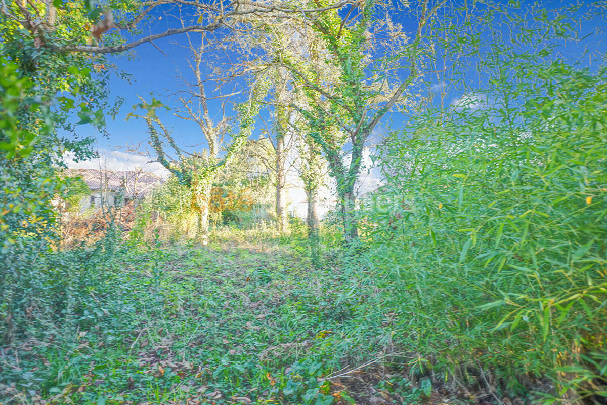Terrain à GAILLAC