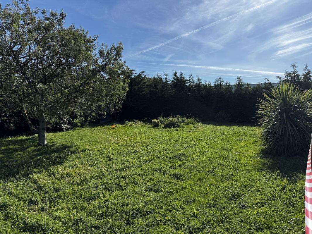 Terrain à L'ILE-D'OLONNE