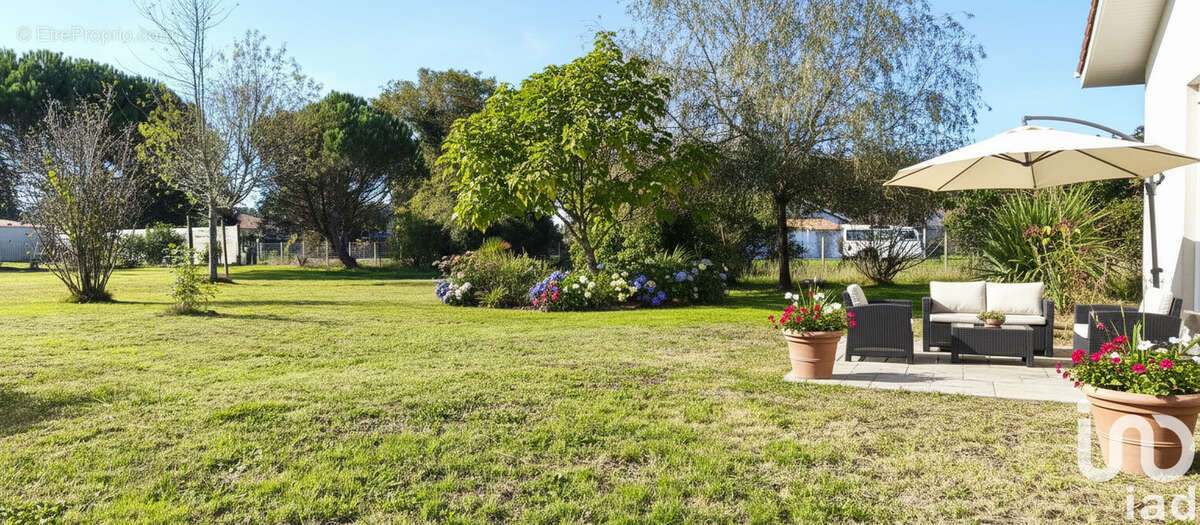 Photo 2 - Maison à PARENTIS-EN-BORN