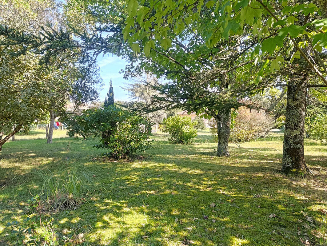 Terrain à VIELLE-SAINT-GIRONS
