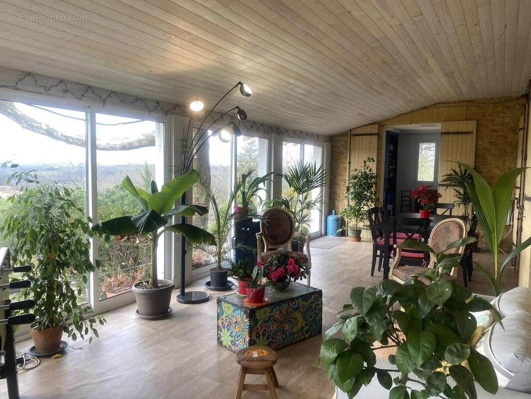 IMG6328 - Maison à ALLES-SUR-DORDOGNE