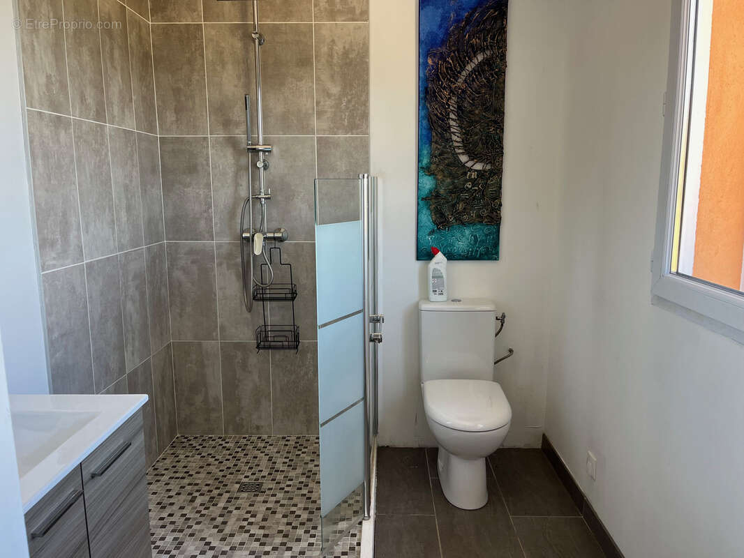 Maison à SAINT-VALLIER-DE-THIEY