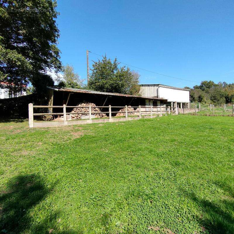 Maison à MORTAGNE-SUR-SEVRE