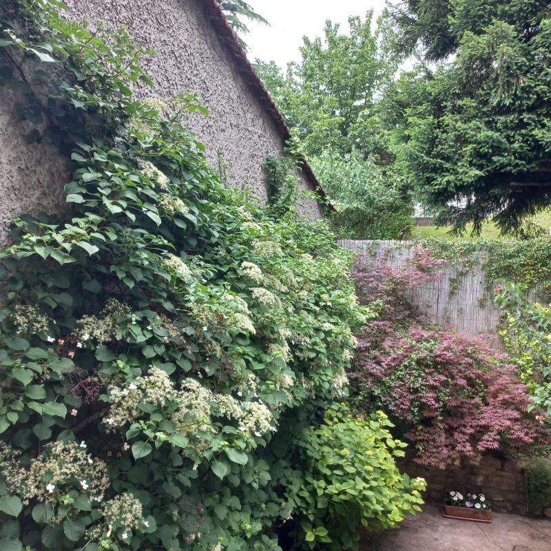 Maison à NEUVILLE-SUR-SAONE