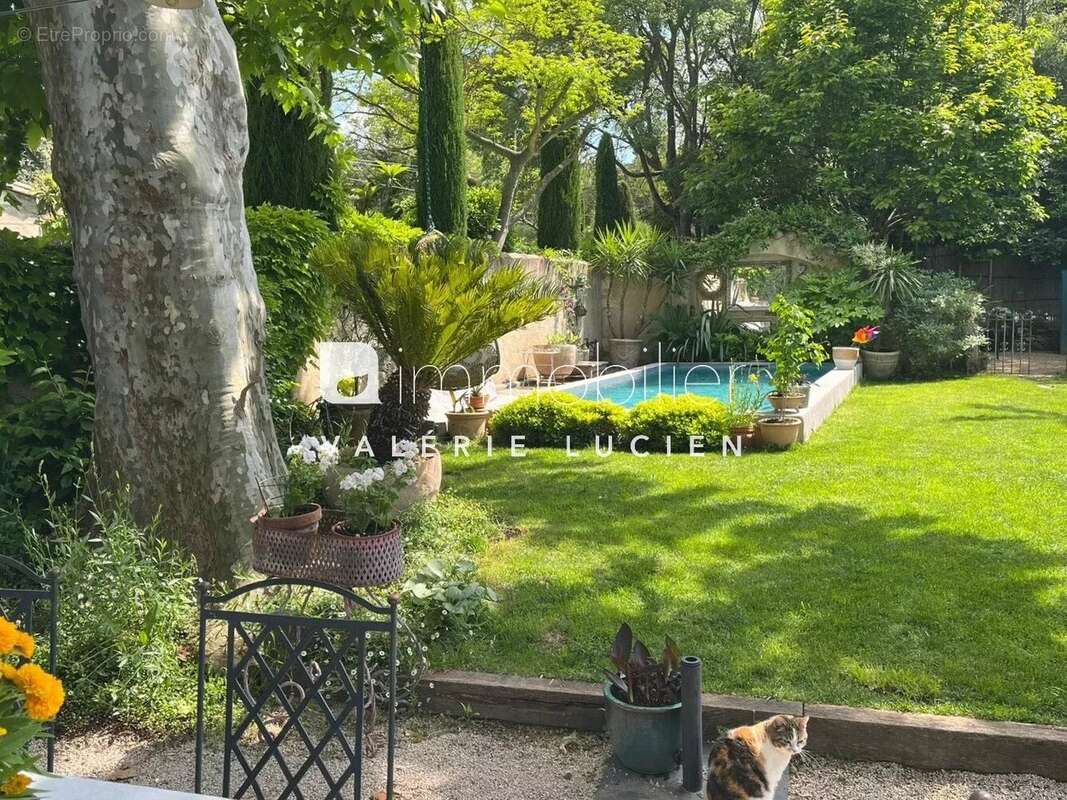 Maison à SAINT-REMY-DE-PROVENCE