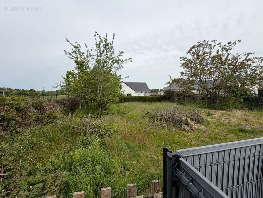 Terrain à bâtir de 486 m² à LE LOUROUX-BECONNAIS (49) - photo 2