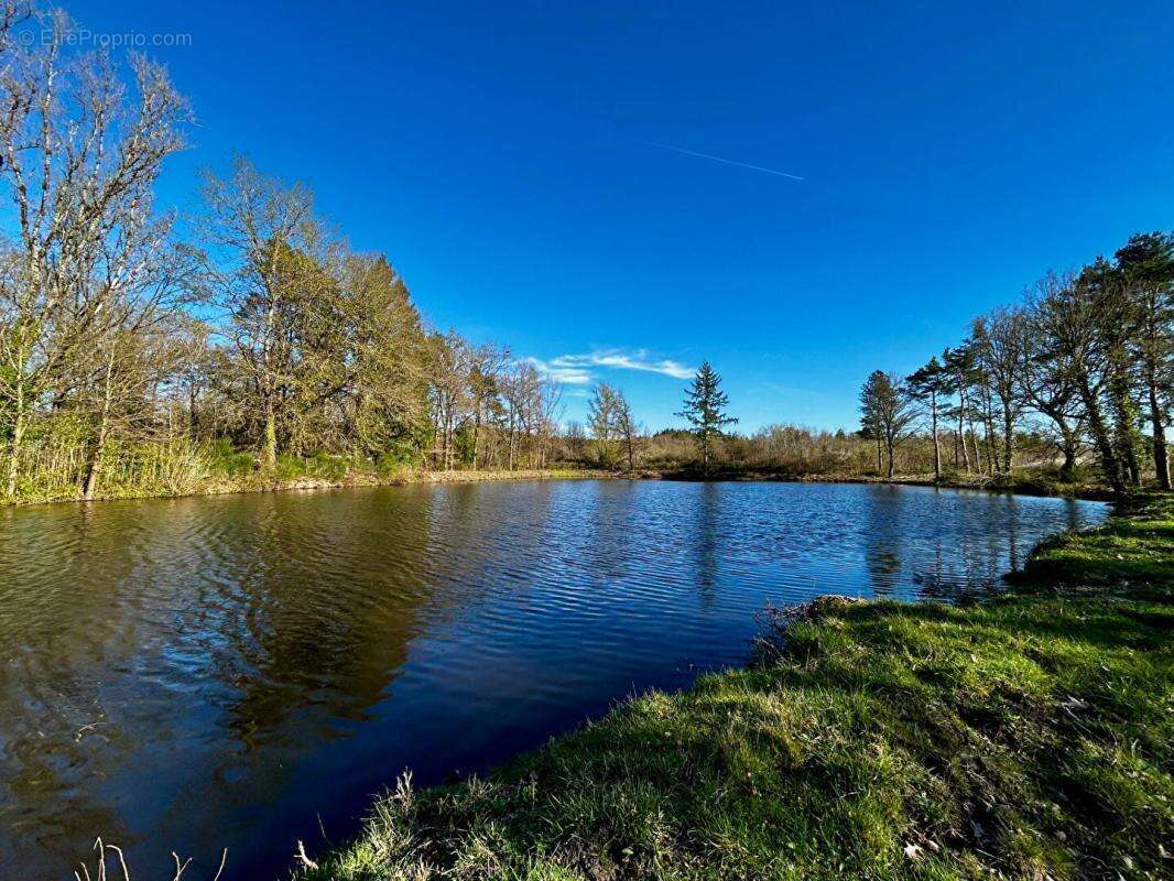 Terrain à LANGON