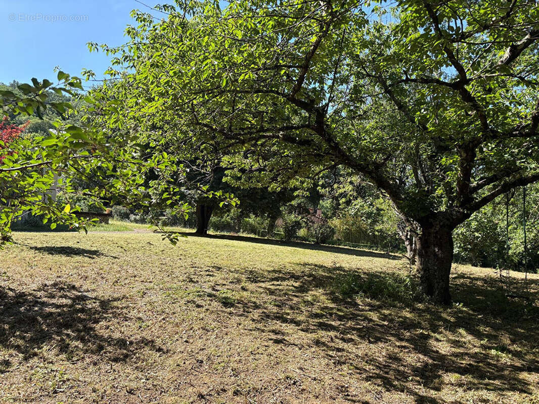 Terrain à MURET
