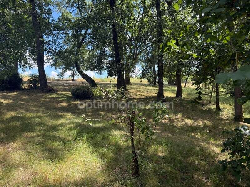 Maison 8 pièces, terrain 9000 m² - photo 3