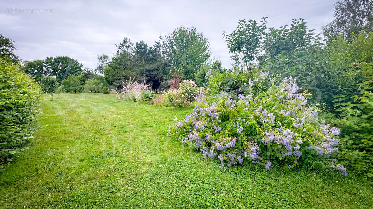 Maison à BRISSAC-QUINCE