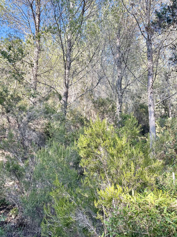 Terrain à SIX-FOURS-LES-PLAGES