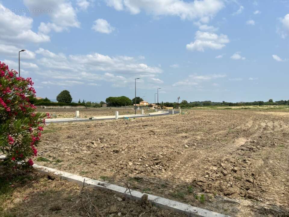 Terrain à VILLESEQUELANDE