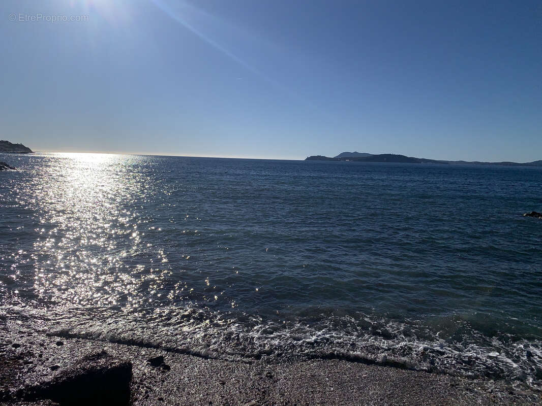 Terrain à LE PRADET