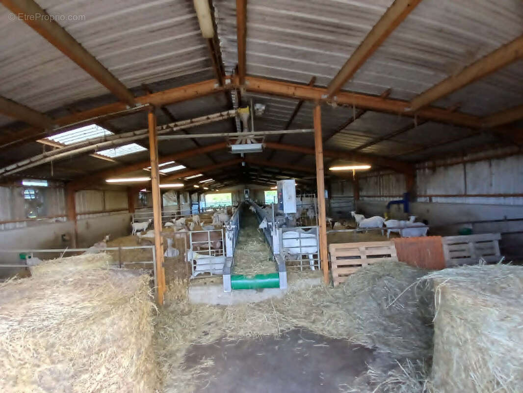 Exploitation caprine avec transformation fromagère, vente directe et maison d'habitation   19,33 ha   Indre - photo 6