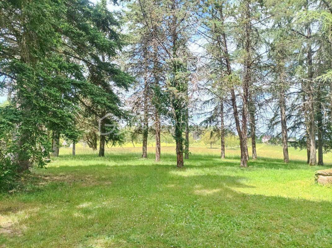 Authentique propriété en pierre avec dépendances sur près de 5 hectares de terrain - photo 25