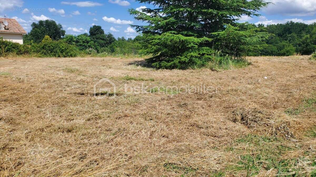 Terrain à MIRAMONT-DE-GUYENNE