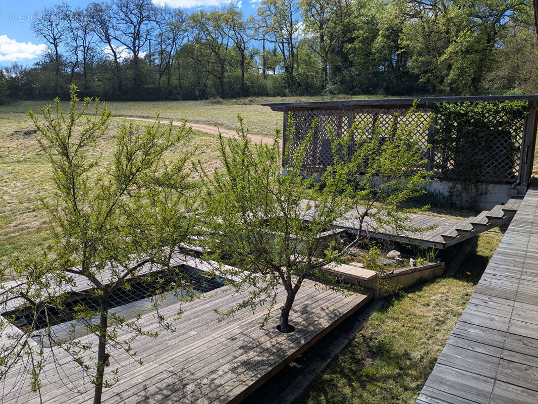 Maison en bois bioclimatique sur grand terrain - photo 15