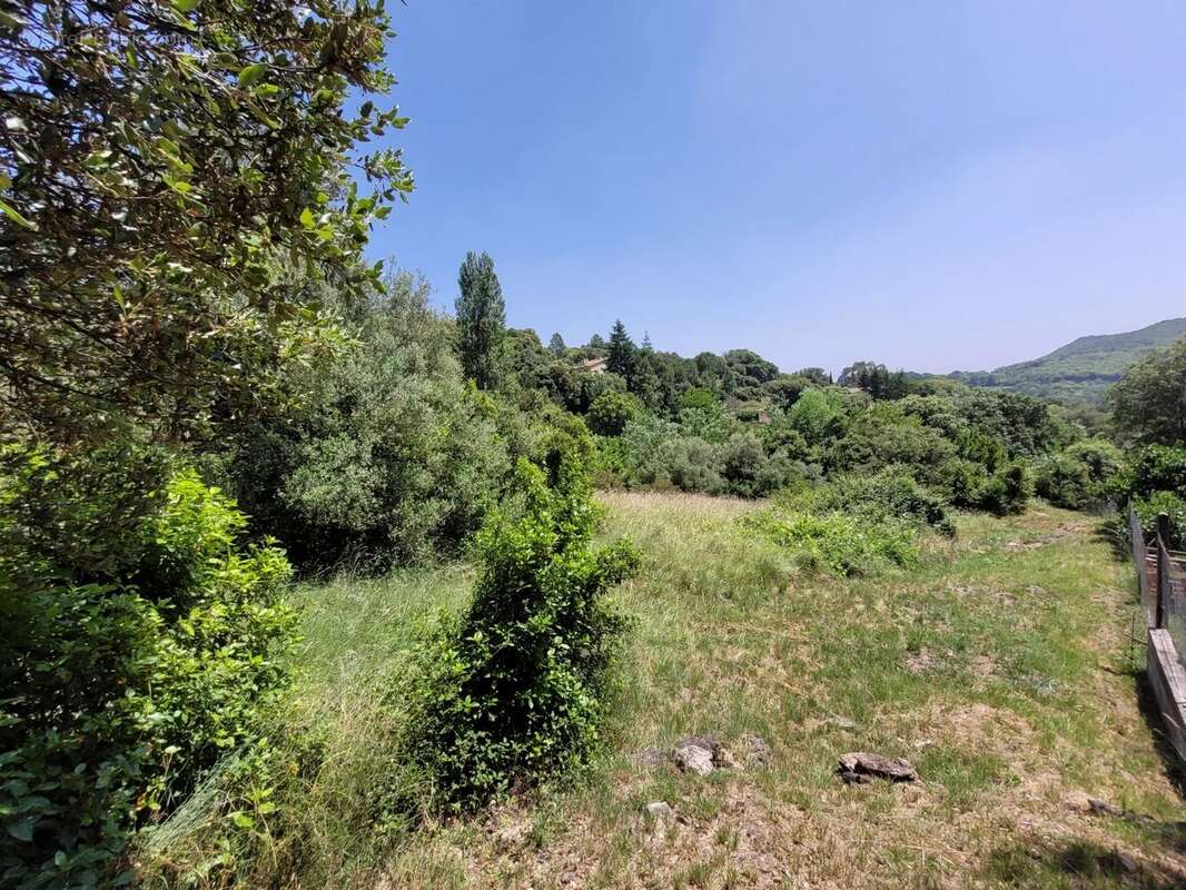 Terrain à SAINT-JULIEN-LES-ROSIERS