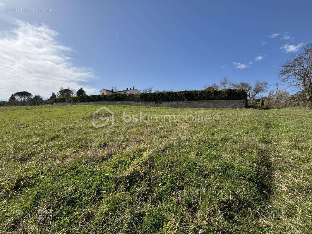 Terrain à RABASTENS
