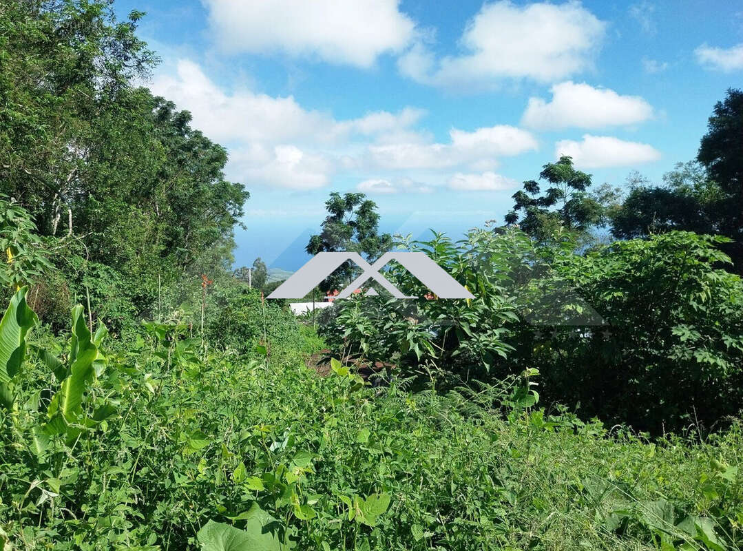 Maison à SAINT-PAUL