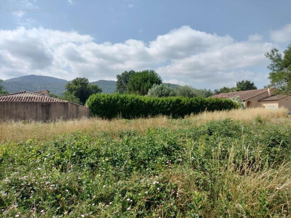 Terrain 816 m² à Gonfaron  - photo 6
