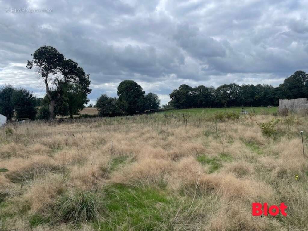 Terrain à LAIGNELET