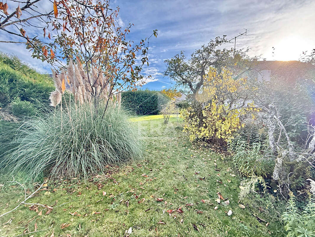 Maison à FLEURY-LES-AUBRAIS