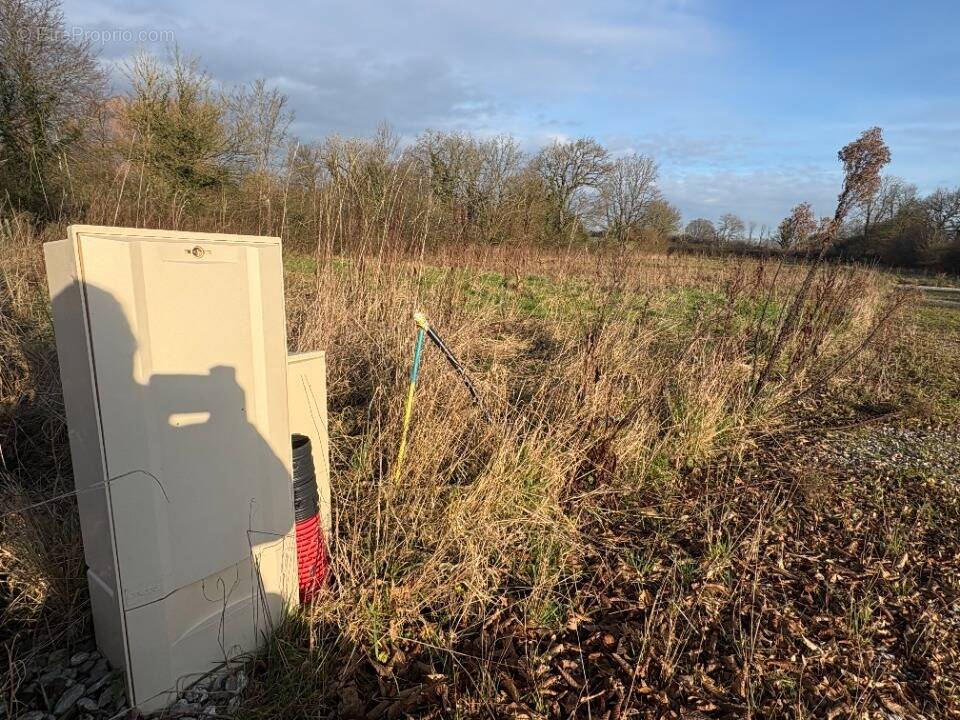 Terrain à BELLEBRUNE