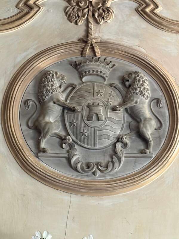 Gers(32), TRES BEAU CHATEAU DE FAMILLE 45HA avec dependances, un peu caché, en position dominante, une belle histoire - photo 40
