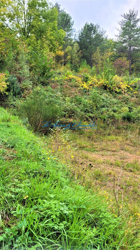 Chamborigaud, terrain de 1300 m2 - photo 3