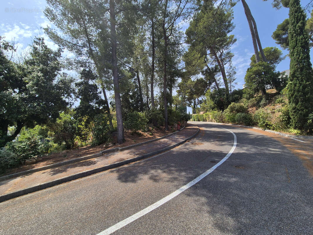 Hyeres costebelle - photo 15