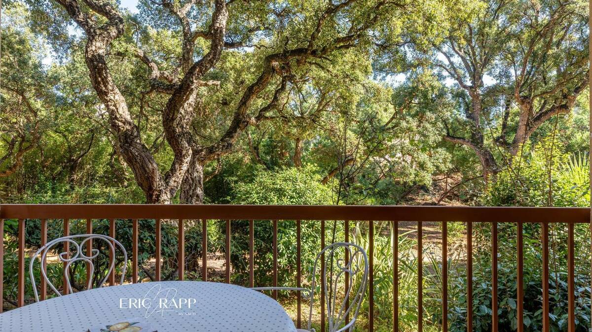 Photo 1 - Appartement à SAINT-RAPHAEL