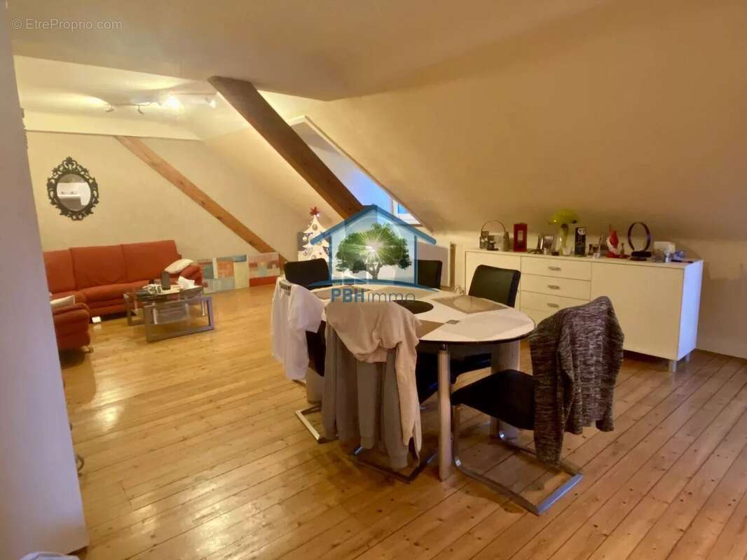 Commerce à SARREGUEMINES