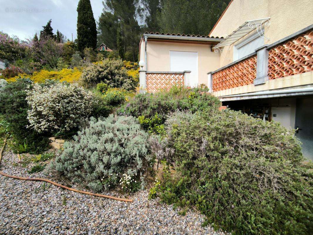 Maison à ESPERAZA