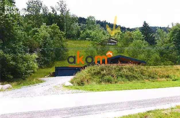 Terrain 1 500 m² à vendre à La Bresse (88250) - photo 1