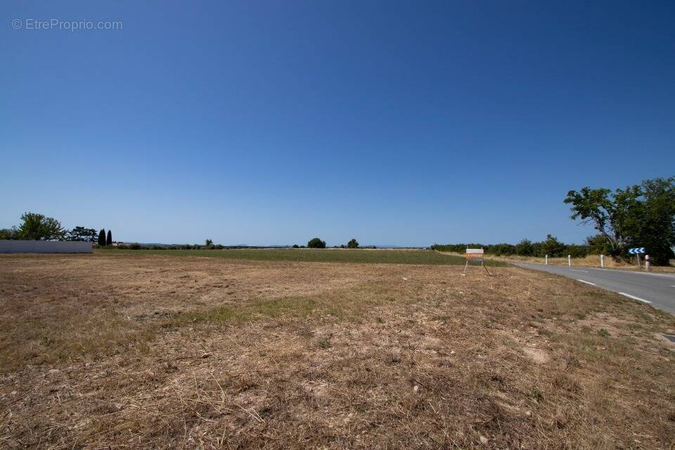 Terrain à PUIMOISSON