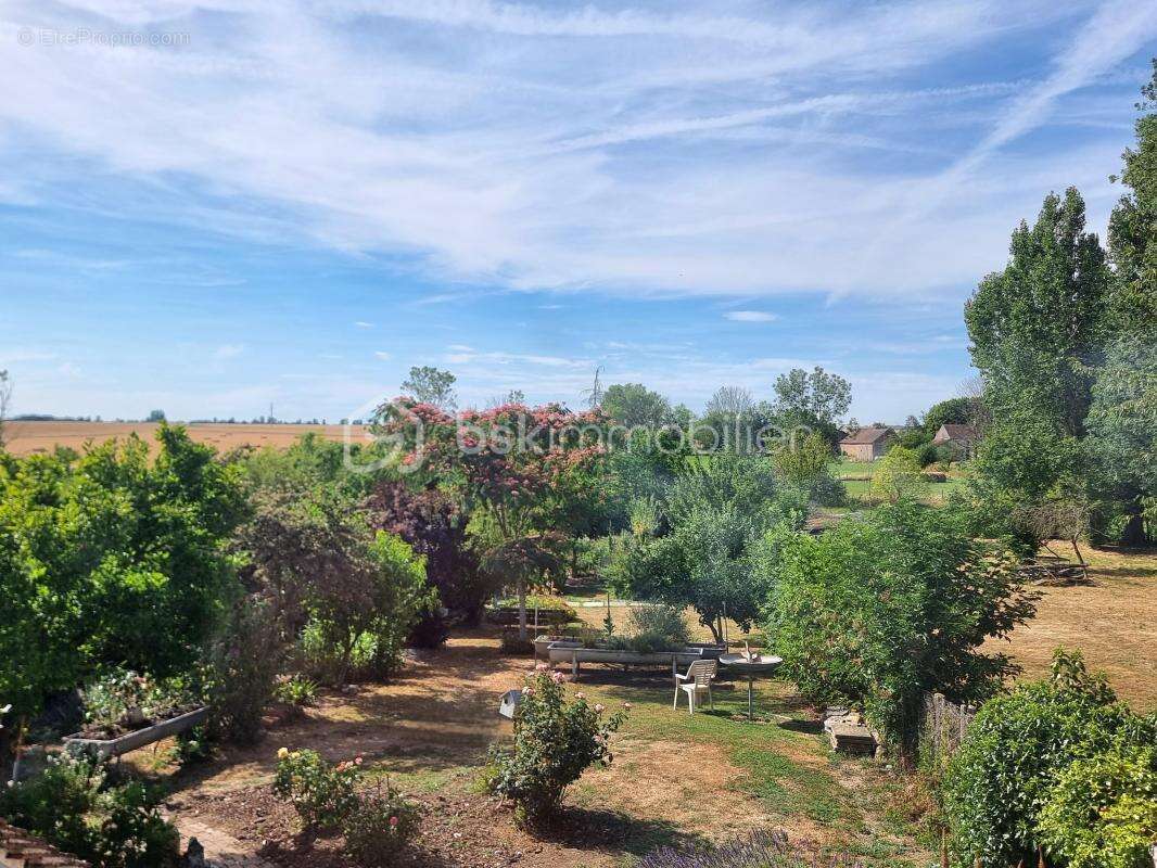Maison en pierre_ 4 chambres_ jardin ! - photo 4