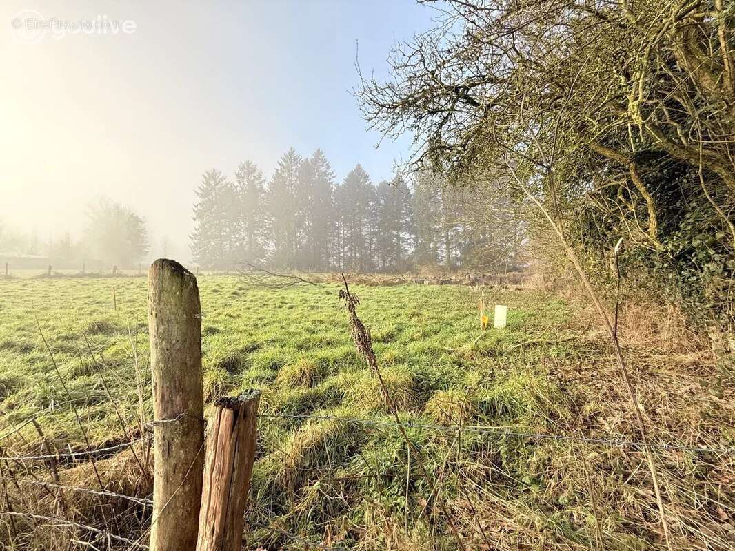 Terrain à YERVILLE