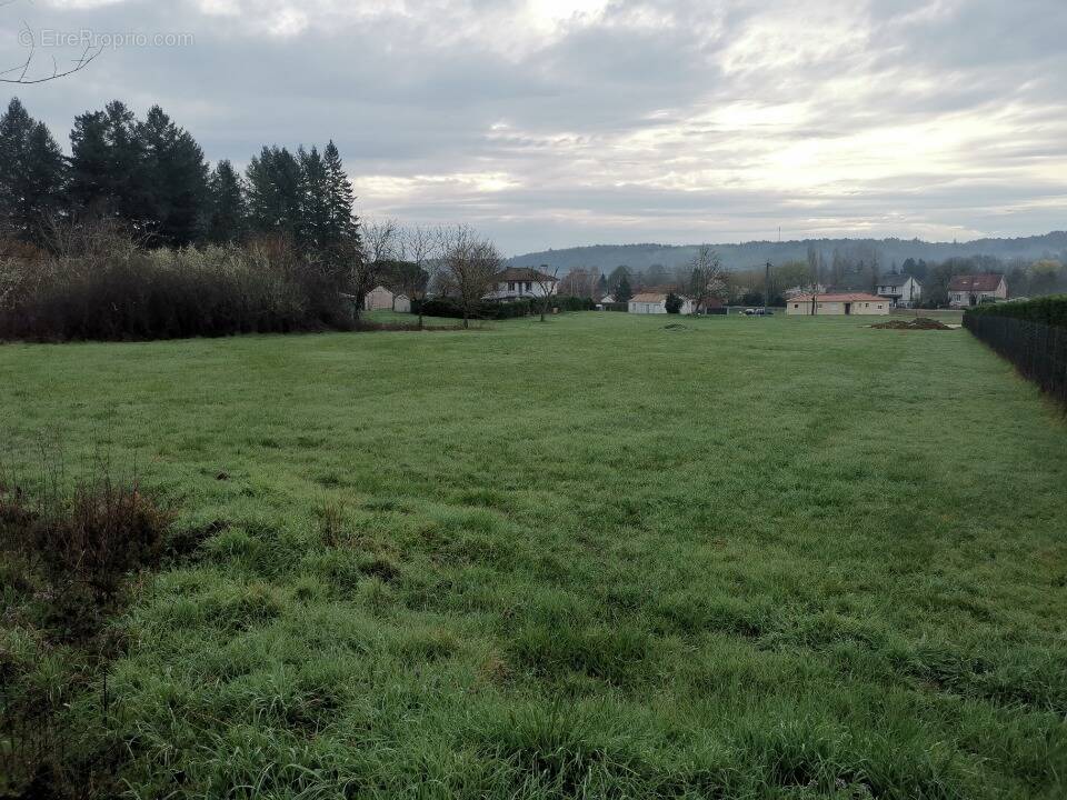 Terrain à SAVIGNAC-LES-EGLISES