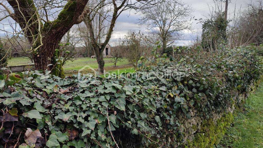Terrain à AZAY-LE-BRULE